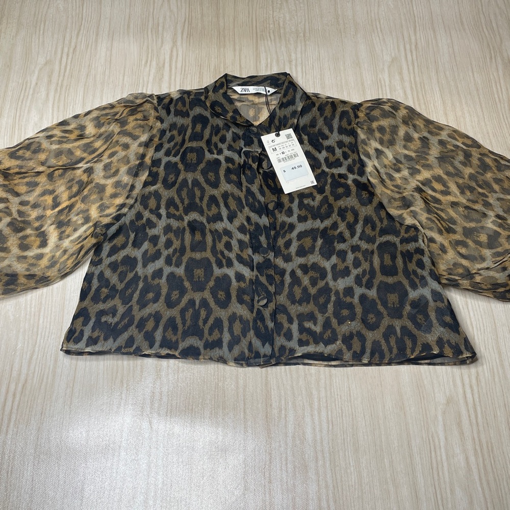 Zara Printed Organza Puff Sleeve Top